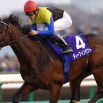 ディープインパクトを否定する人って競馬に対する見識が微塵もないよね
