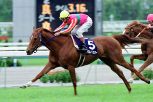 和田竜二(23)GⅠ7勝←すげえ！