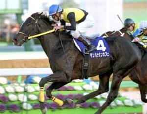 元リーディングサイアーのマンハッタンカフェとアグネスタキオンの後継は？