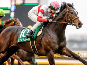 今年の3歳はガチで史上最強世代に近いと思う皐月賞が楽しみすぎる