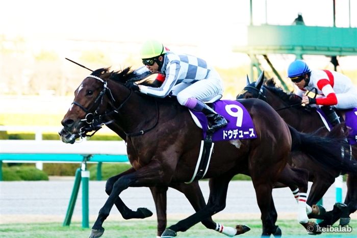 3着ドウデュース武豊「思ったよりペースが遅くなった。１番強い競馬をした。ダービーが楽しみ」