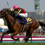 皐月賞が全盛期だった馬←どれ思い浮かべた?