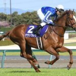 ナランフレグは血統の常識を越えた馬