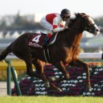 三大天下取り損ねた馬「スワーヴリチャード」「サトノダイヤモンド」あと一頭は