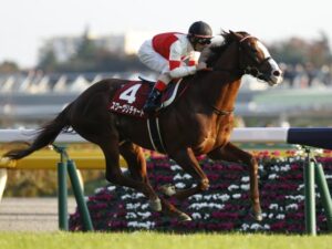 三大天下取り損ねた馬「スワーヴリチャード」「サトノダイヤモンド」あと一頭は