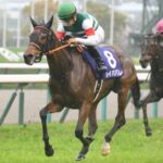 去年の大阪杯がもし良馬場でもレイパパレが勝ってるんじゃないか?