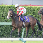 イクイノックスとダノンベルーガ皐月賞でダービー前ひと叩き感は異常