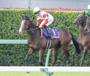 イクイノックスとダノンベルーガ皐月賞でダービー前ひと叩き感は異常