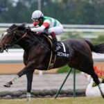 エピファネイアの産駒が古馬で伸びしろないのはシーザリオのせいかか、ボリクリのせいか