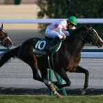 【競馬予想】第40回ニュージーランドトロフィー(GII) /2022