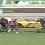 【競馬】ニュージーランドTは武豊騎乗のジャングロがV