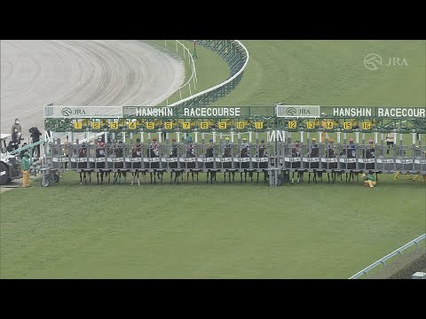 2022 OSAKA HAI (G1) | JRA Official