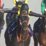 【競馬・桜花賞】スターズオンアース強すぎワロタwwwwwwwwwwwwwwwwwwww