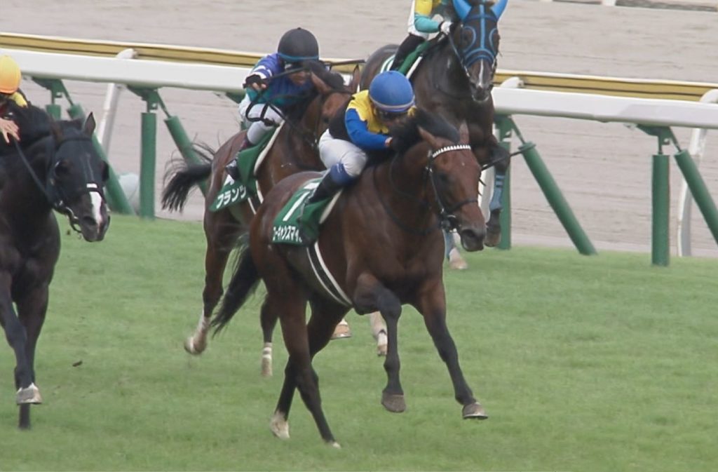 【競馬・桜花賞】悲報・・横山武史さん3週連続1番人気ぶっ飛ばし【ナミュール10着】