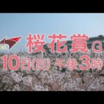 生涯一度!若き乙女たちの桜舞台【桜花賞 GⅠ 4月10日(日)午後3時】