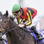 世界でどんなものか見てみたかった馬