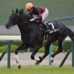 怪我しなければ物凄く強かったと思われる馬