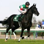 日本競馬最高の繁殖牝馬、ダンシングキイかシーザリオに絞られる