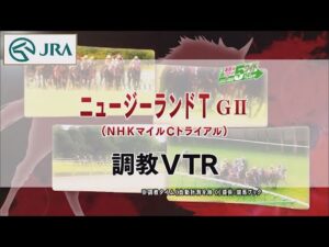 【調教動画】2022年 ニュージーランドトロフィー｜JRA公式