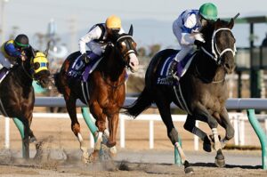 でもチュウワウィザードって帰国してからまた勝てなくなるんでしょ