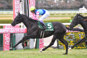 ウォーターナビレラ武豊www