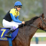 凱旋門賞帰りにジャパンカップと有馬記念を圧勝したディープインパクトってすげえな