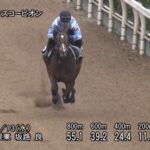 【アーリントンカップ2022】追い切り/動きを見極め勝利に近づけ