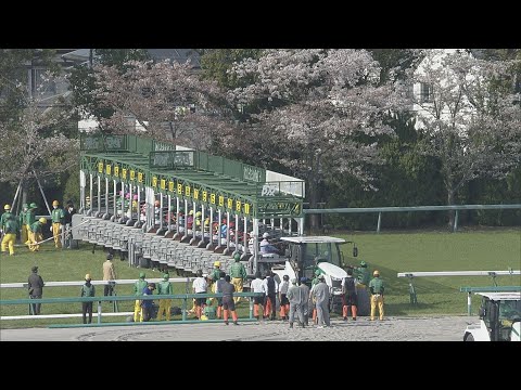 2022 OKA SHO (JAPANESE 1000 GUINEAS) (G1) | JRA Official