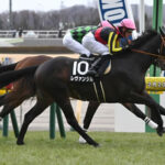 【競馬予想】第29回青葉賞(GII) / 2022