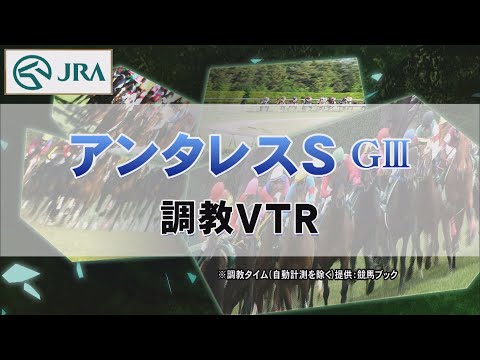 【調教動画】2022年 アンタレスステークス｜JRA公式