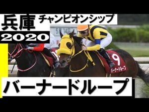バーナードループ・末脚爆発させ人気に応える【兵庫チャンピオンシップ2020】