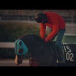 2022年度地方競馬PV「いつもそばに。いちばんそばに。地方競馬」