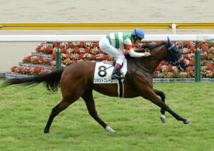 ソネットフレーズ 横山武でNHKマイルCへ