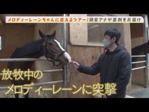 岡安アナがメロディーレーンの放牧先での素顔をお届け！【レーンちゃんに会えるツアー】