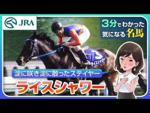 【3分でわかる】ライスシャワー・淀に咲き淀に散ったステイヤー | JRA公式