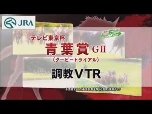 【調教動画】2022年 青葉賞｜JRA公式