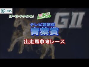 【参考レース】2022年 青葉賞｜JRA公式