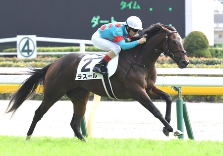 フローラS6着ラスール骨折 全治6カ月