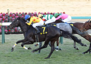 【競馬予想】[1]第53回読売マイラーズカップ(GII)/2022