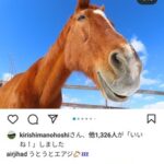 ●お前ら牧場のインスタ見てるか?