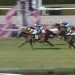 【競馬】アーリントンCは川田騎乗のダノンスコーピオンがV