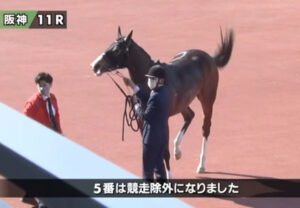 【阪神牝馬S】1番人気アカイトリノムスメが除外！