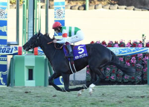 【皐月賞】キラーアビリティ5番人気www