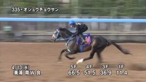【中山グランドジャンプ2022】追い切り/動きを見極め勝利に近づけ