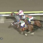 【東京スプリント2022】結果・動画/シャマルがハナ差の接戦を制す