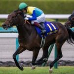 菊花賞3着ディヴァインラヴ引退 父エピファ母父ディープ