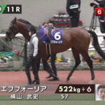 パドックの時からエフフォーリアの異変に気付いてたやつは結構いるよな