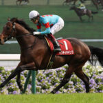 種牡馬インディチャンプが大人気な件