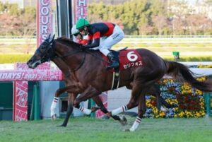 朝日杯FS2着セリフォス　福永との新コンビでNHKマイルCへ