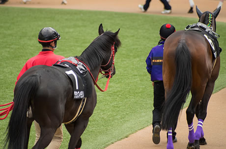 短距離牝馬←何となくイメージした馬